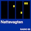 Nattevagten