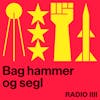Bag hammer og segl