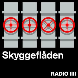 Skyggeflåden