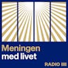 Meningen med livet