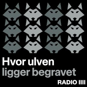 Afspiller nu