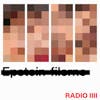 Epstein-filerne